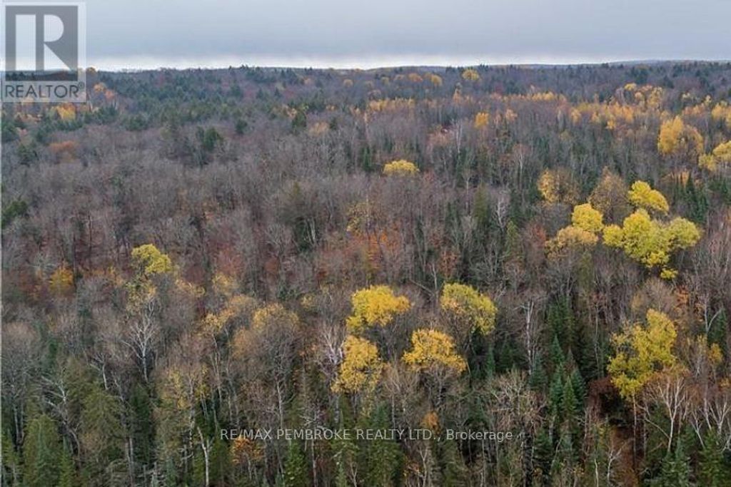 27681 Highway 60 Highway, South Algonquin