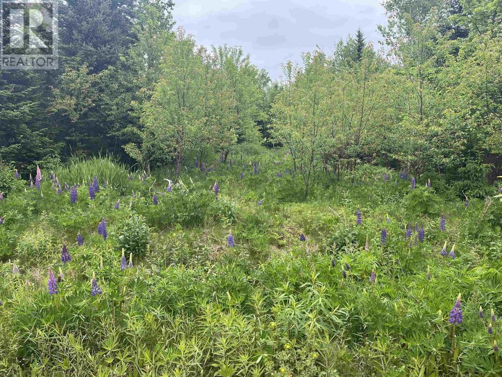 0 Driftwood Lane, Stanley Bridge