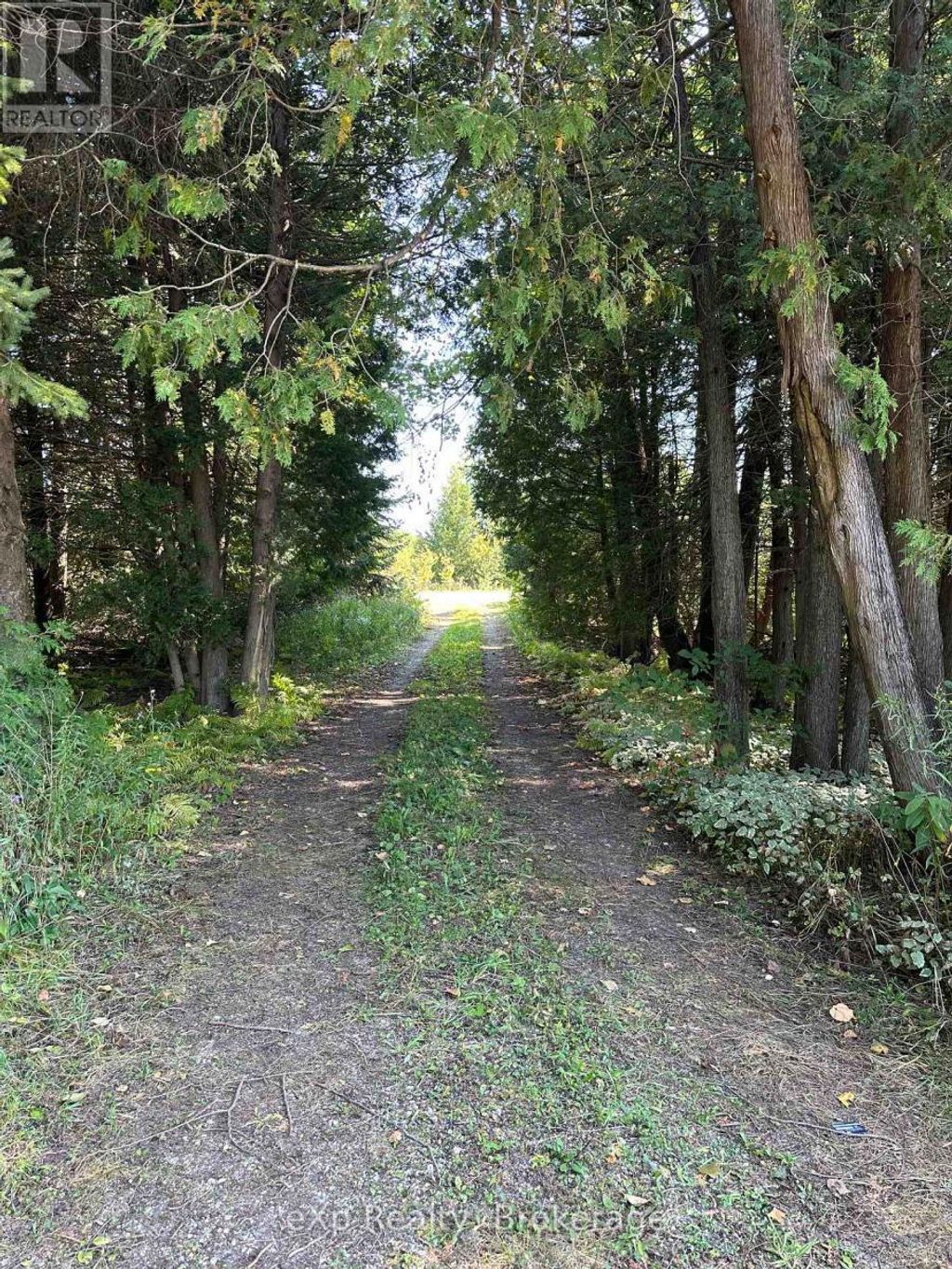 133272 Allan Park Road, West Grey