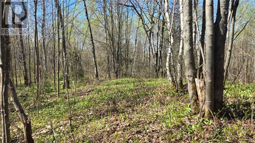 Lot 6 Con 3 Rabbit Trail Road, Warren