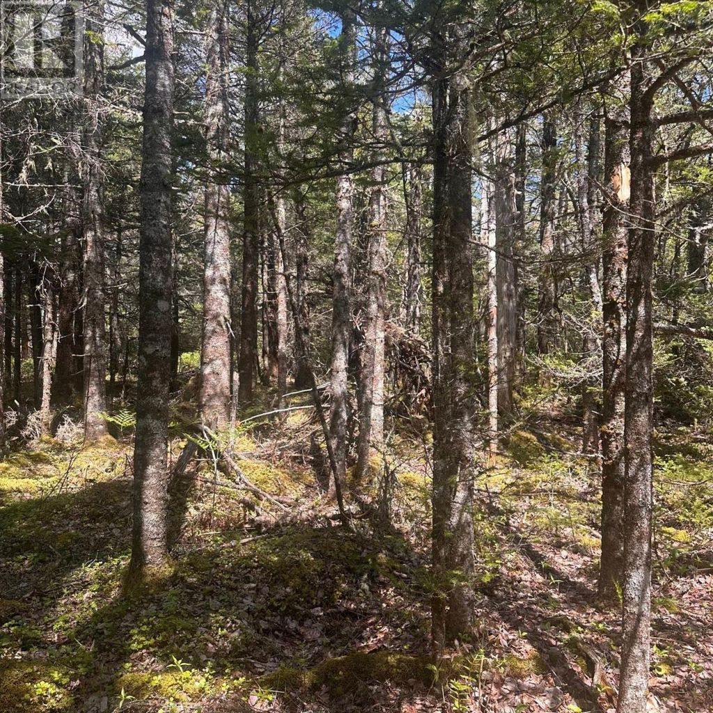 Lot 16 Somerset Drive, East Sable River