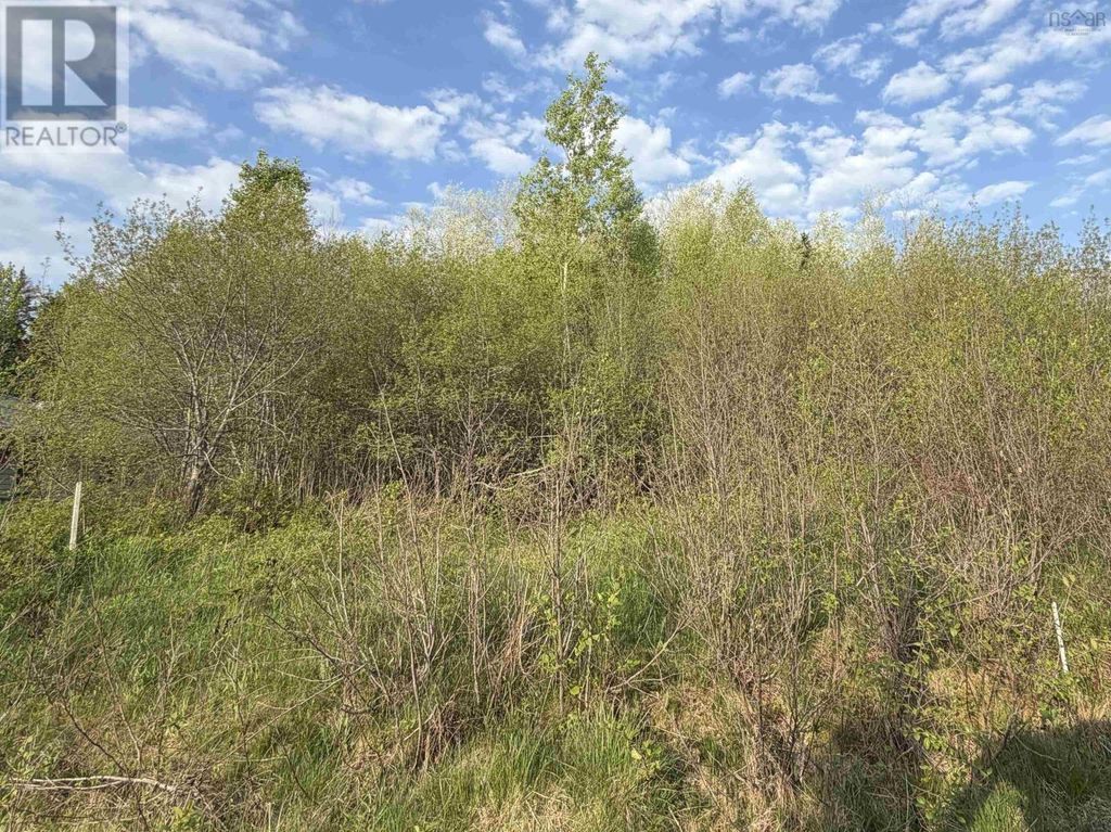 Lot 19 Belair Drive, Conway