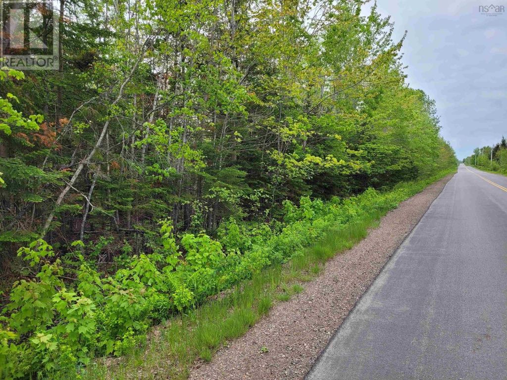 Tattrie Settlement Road, French River