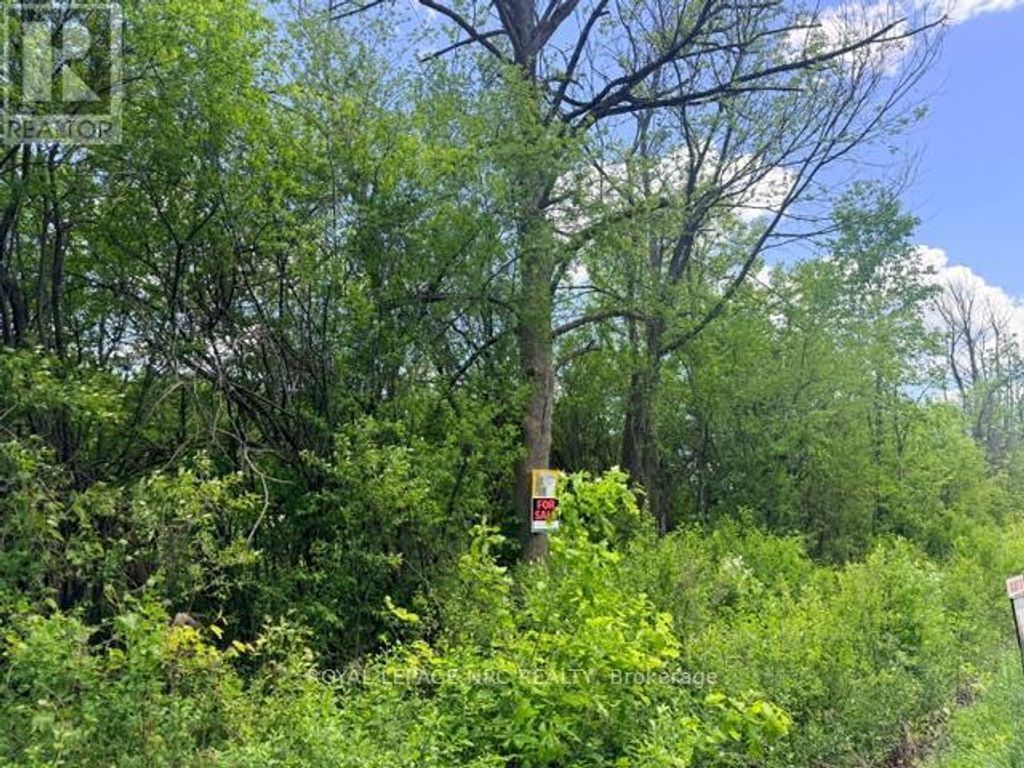 V/l Centralia Avenue N, Fort Erie (ridgeway)
