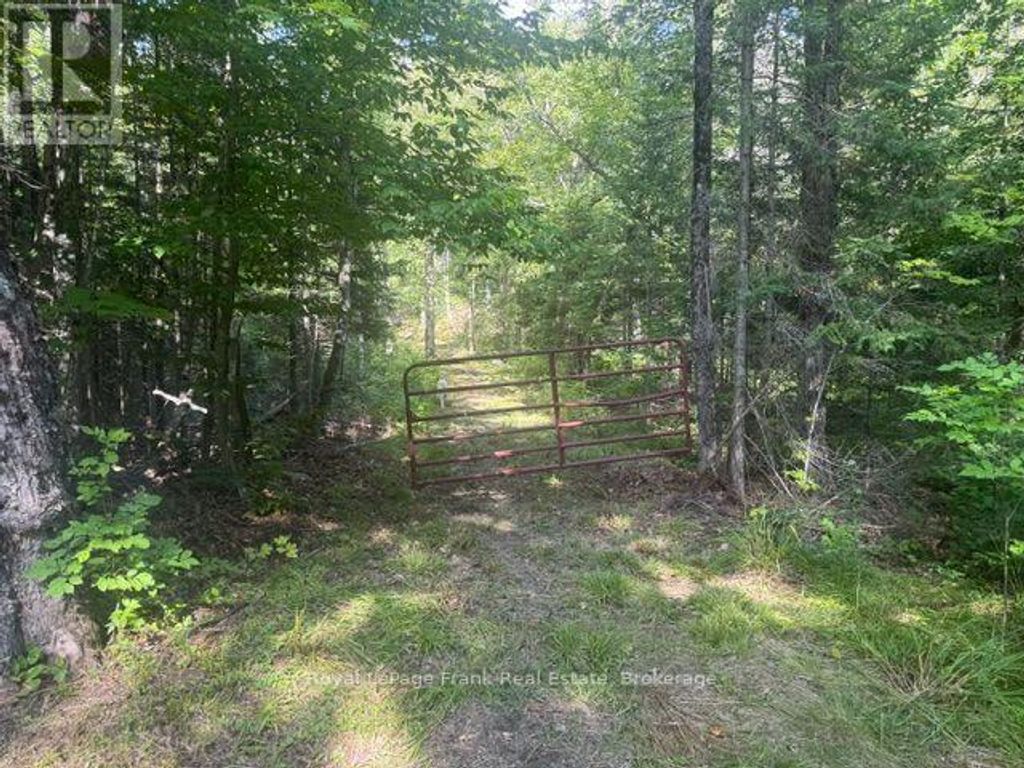 905 & 841 North Mckenzie Lake Road, South Algonquin