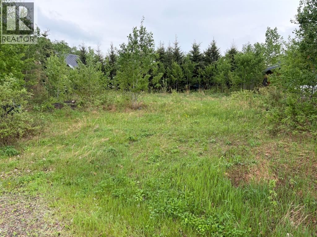 207 Lakeview Dr, Lac Des Iles