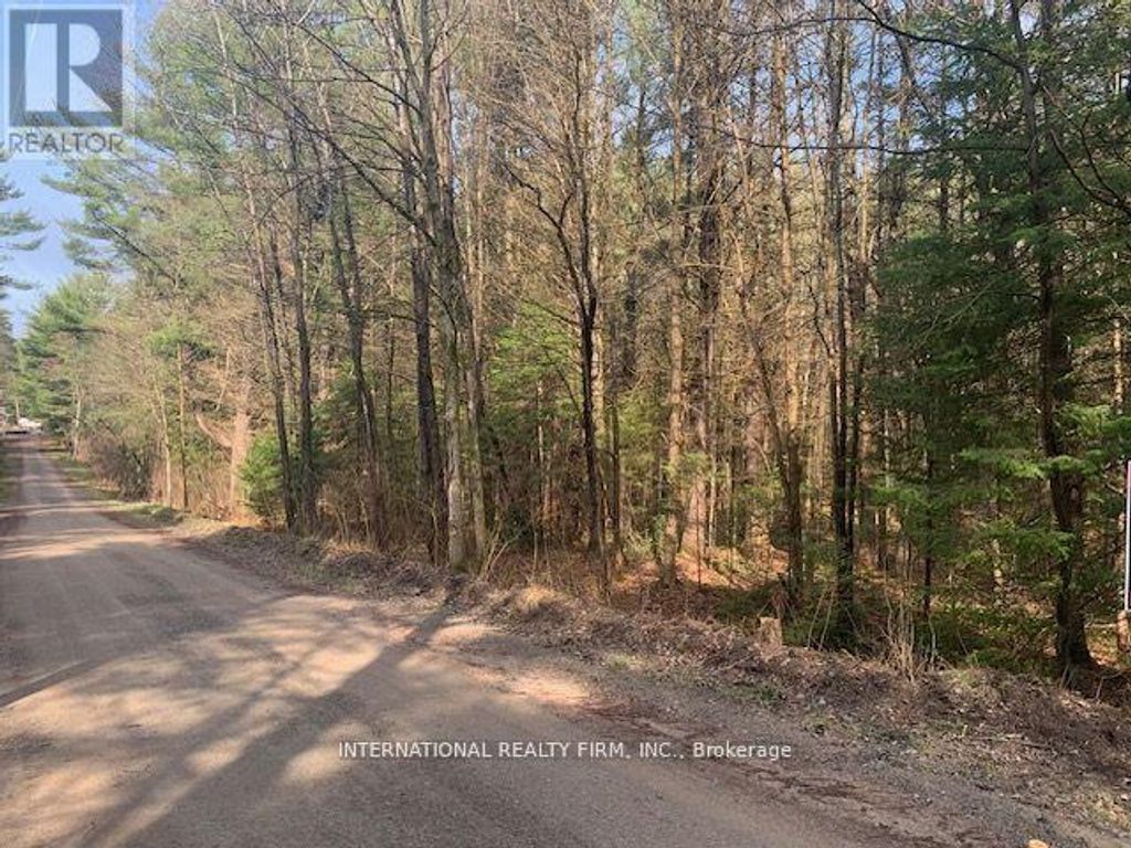 0 The Ave Road N, Kawartha Lakes (kinmount)