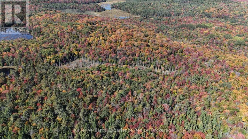 Pl20 Langford Road, Lake Of Bays (mclean)
