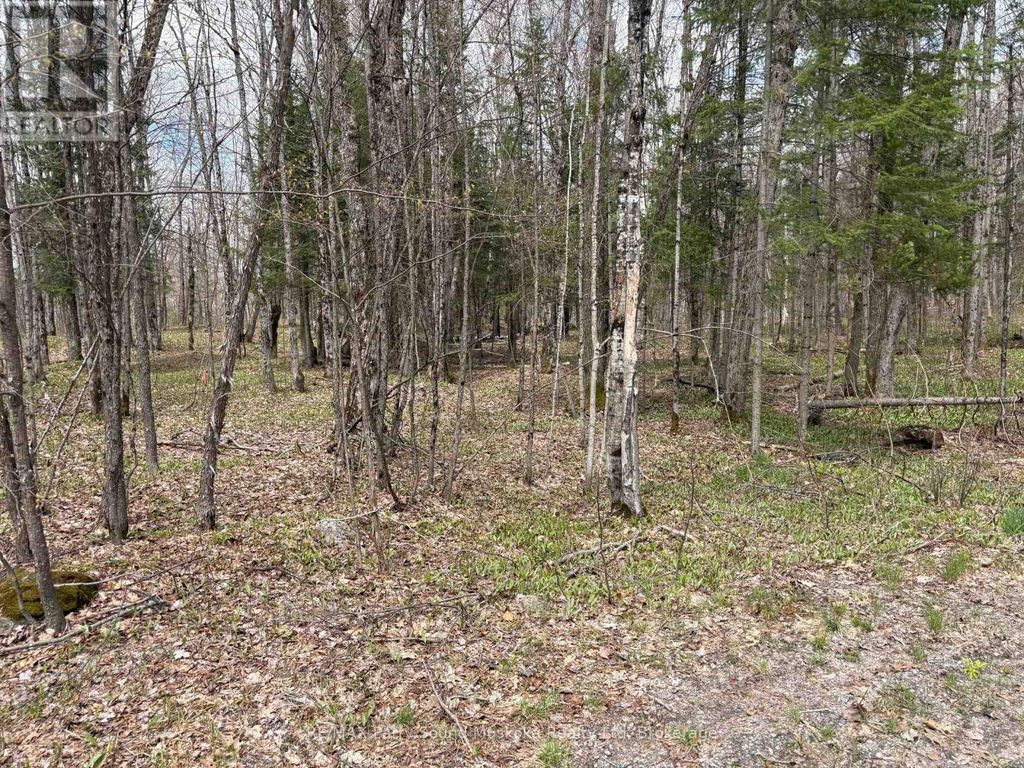 0 Dauncey Road, Magnetawan (spence)