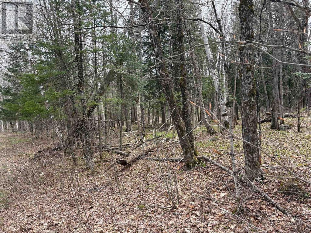 0 Ahmic Lake Road, Magnetawan (spence)