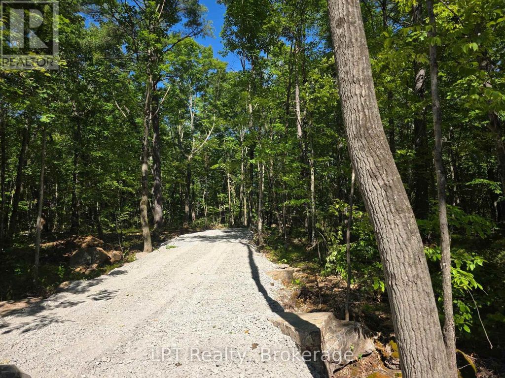 38 Marble Point Road, Marmora And Lake (marmora Ward)