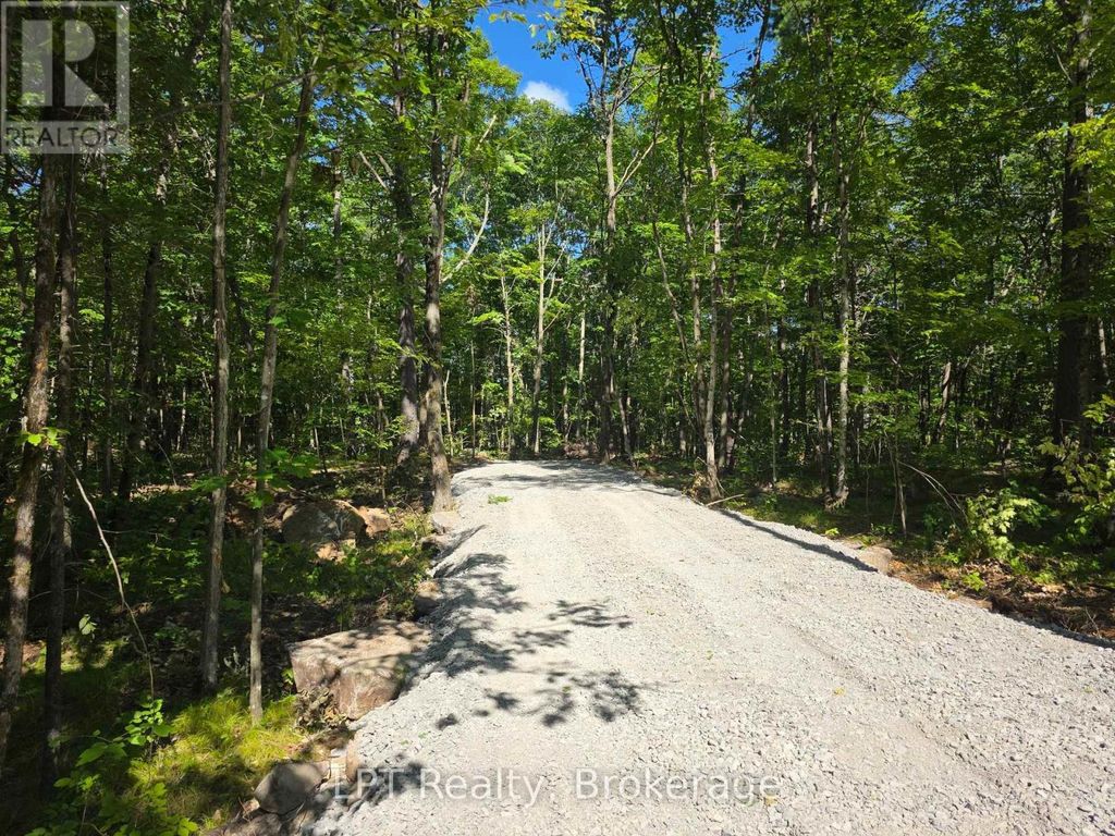 48 Marble Point Road, Marmora And Lake (marmora Ward)