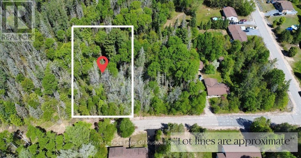 12 Poplar Street, South River