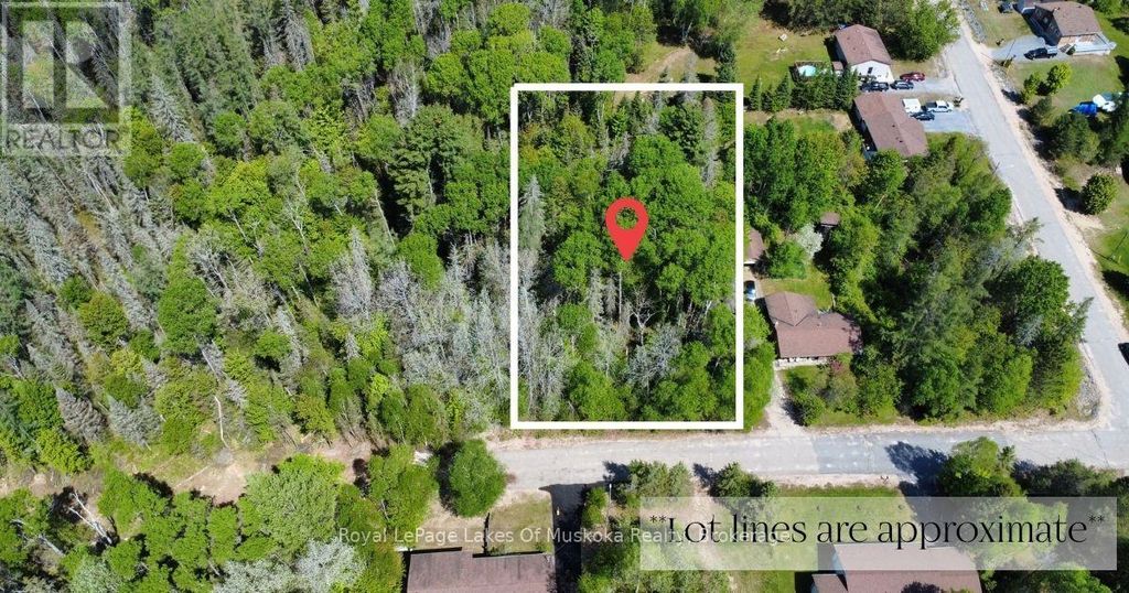 10 Poplar Street, South River