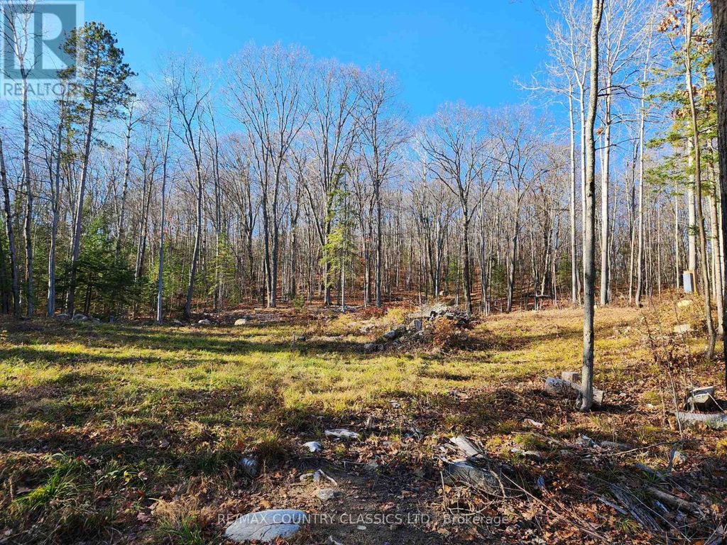 790 Mitchell Road, Madawaska Valley