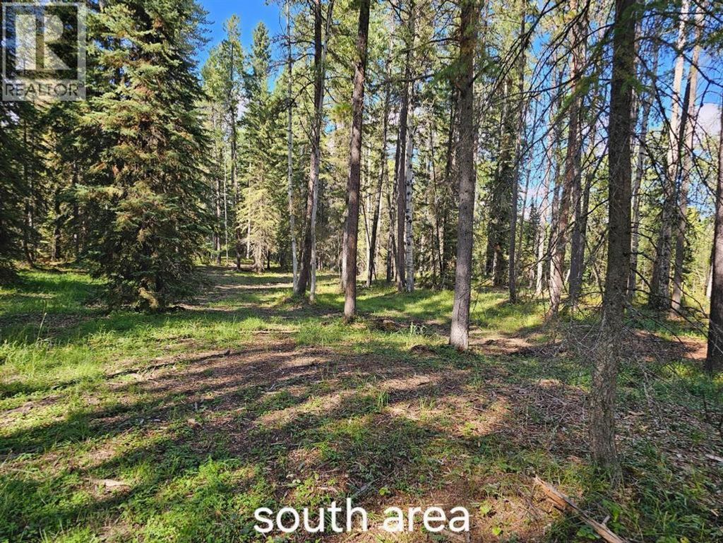 Pine Ridge Alley, Rural Clearwater County