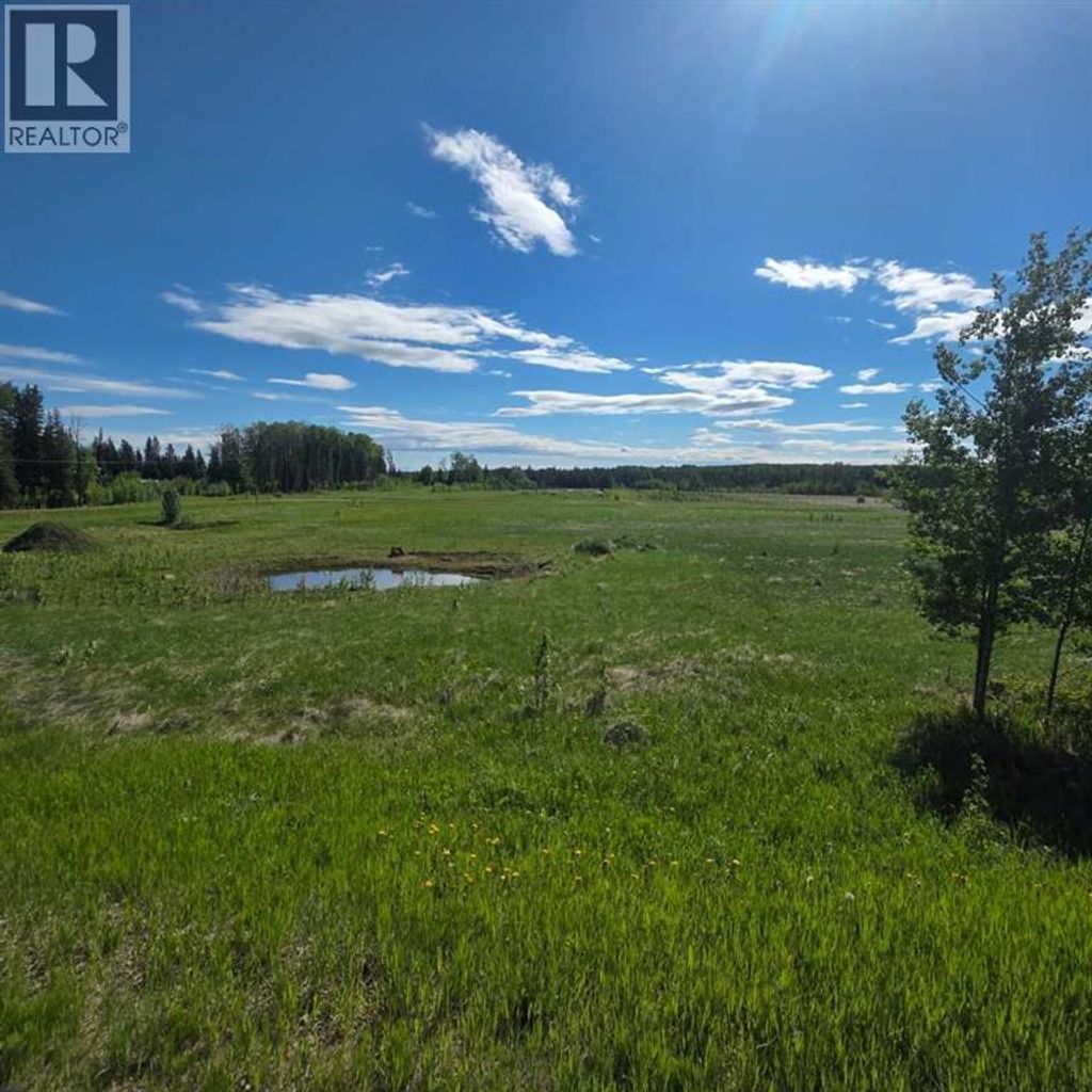 Lot 4 Range Road 175, Rural Yellowhead County