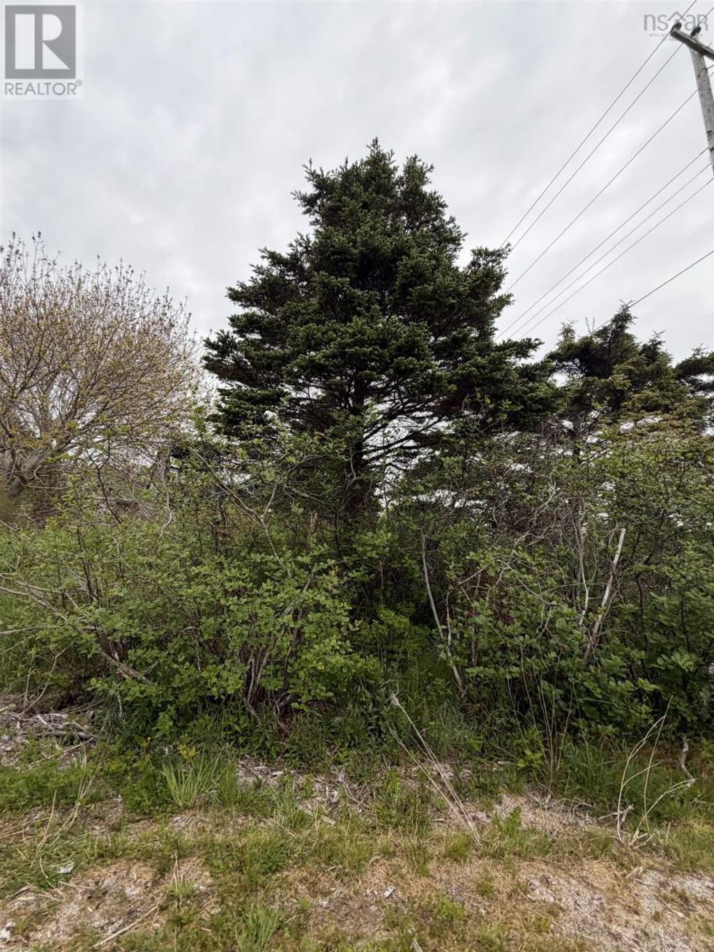3661 Highway 217, East Ferry