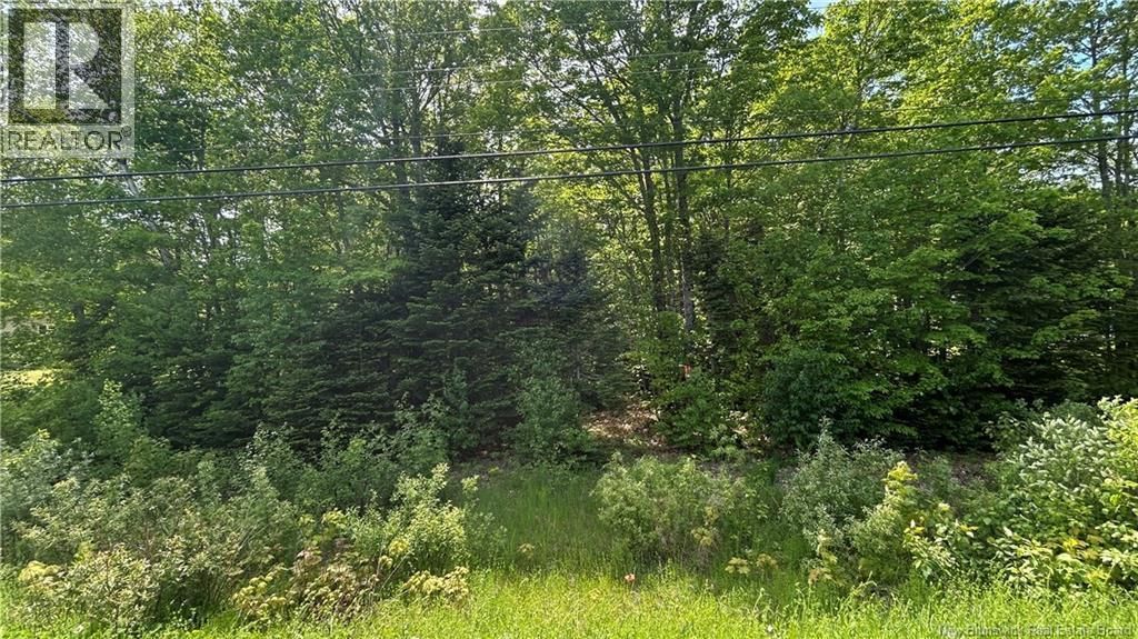 Lot Route 135, Trudel