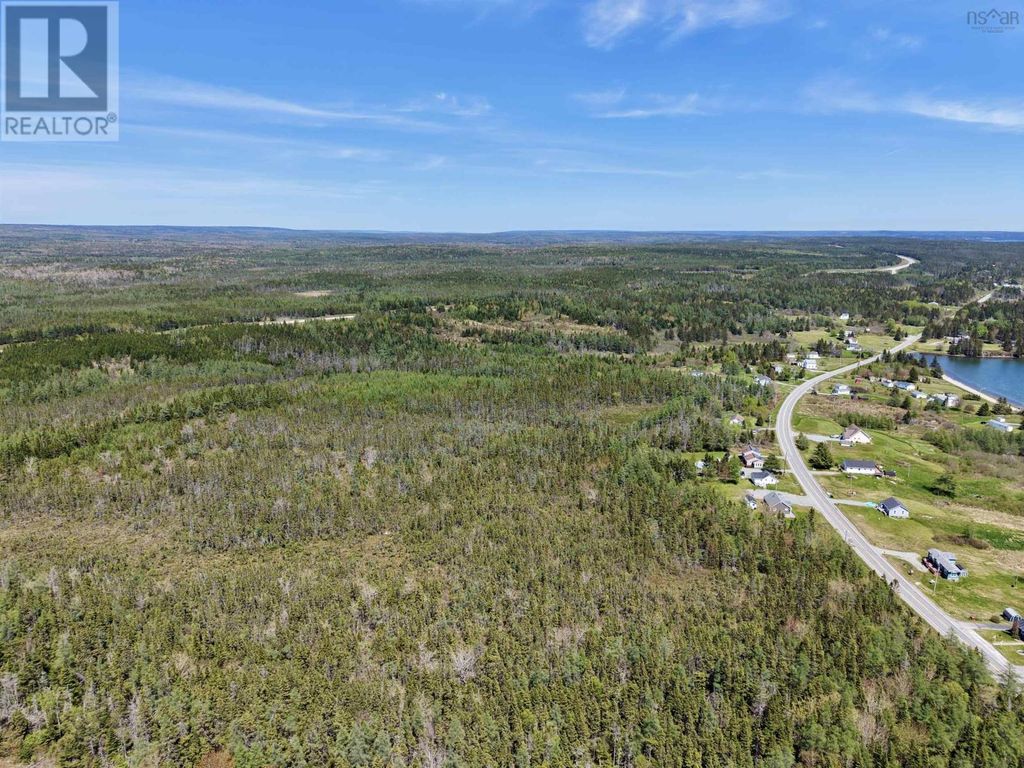 No. 4 Highway, Cannes