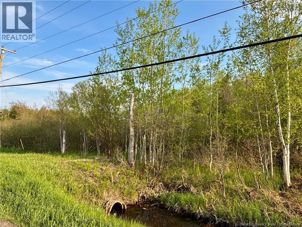 33.8 Acres Route 310, Coteau Road