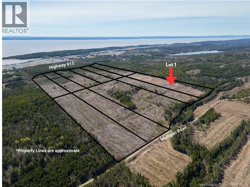 Lot 1 Route 915, Upper New Horton