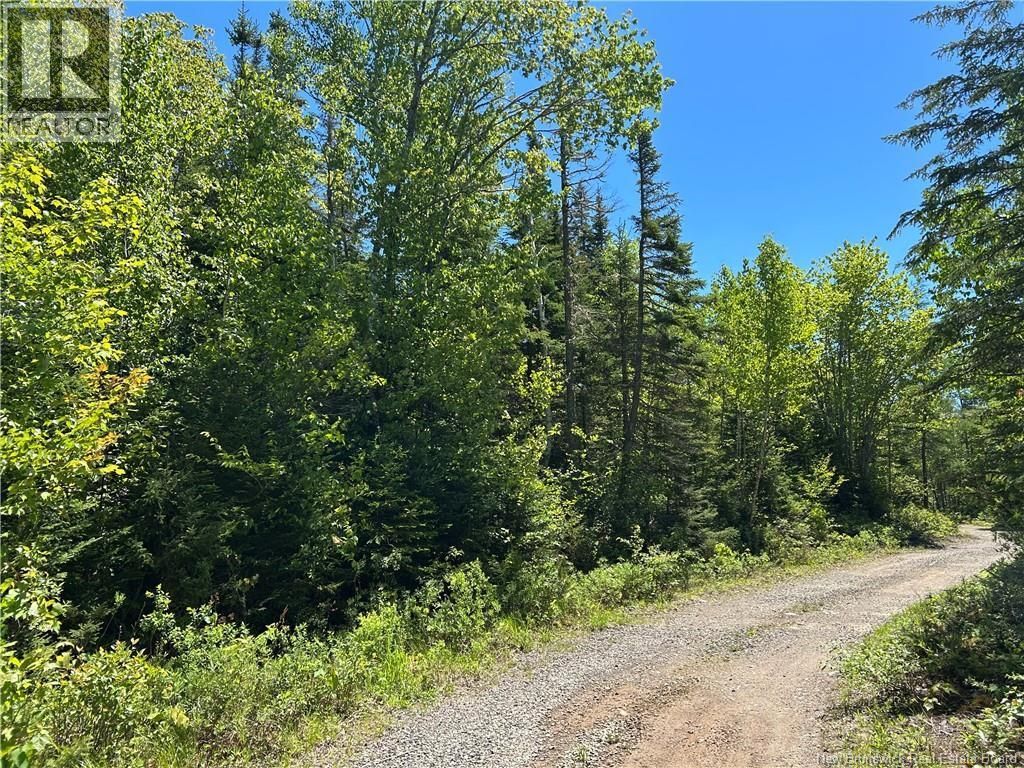 Lot Nelson Lake Road, Grand Bay-Westfield