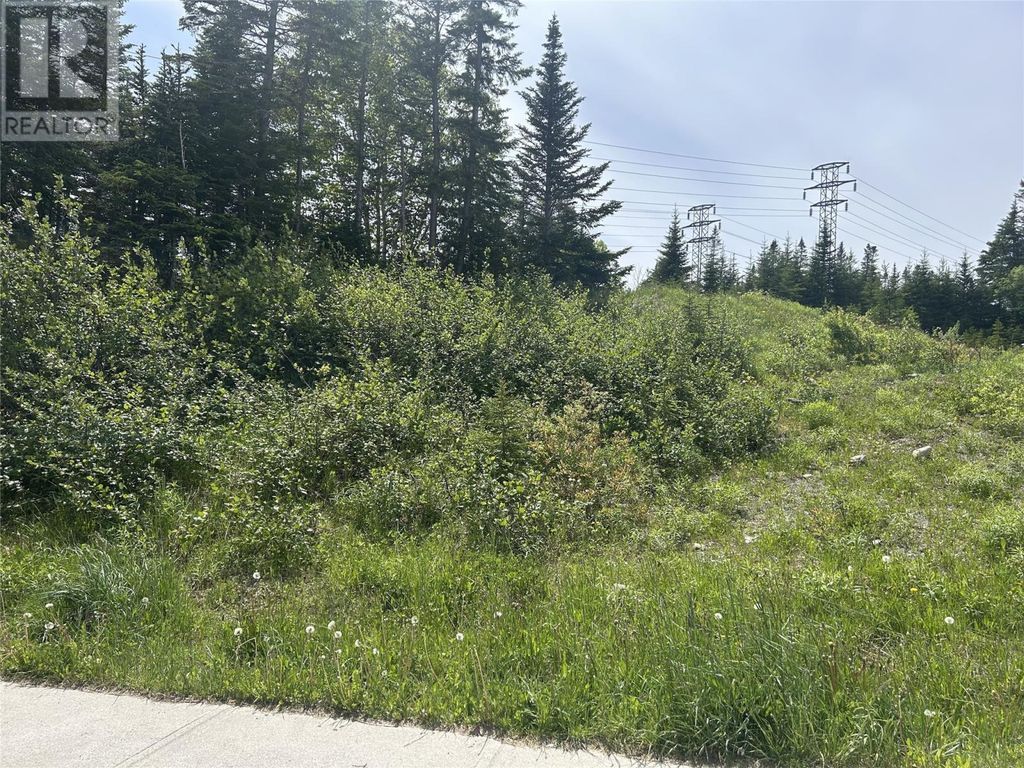 196 Massey Drive, Massey Drive