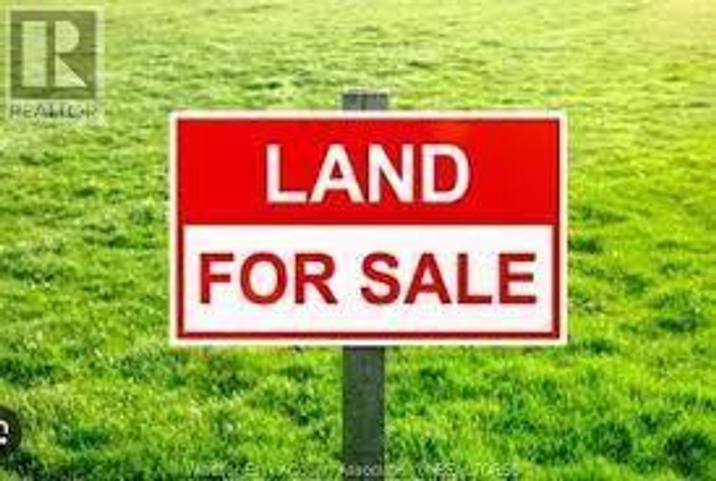 2 Kings Road, Monetville