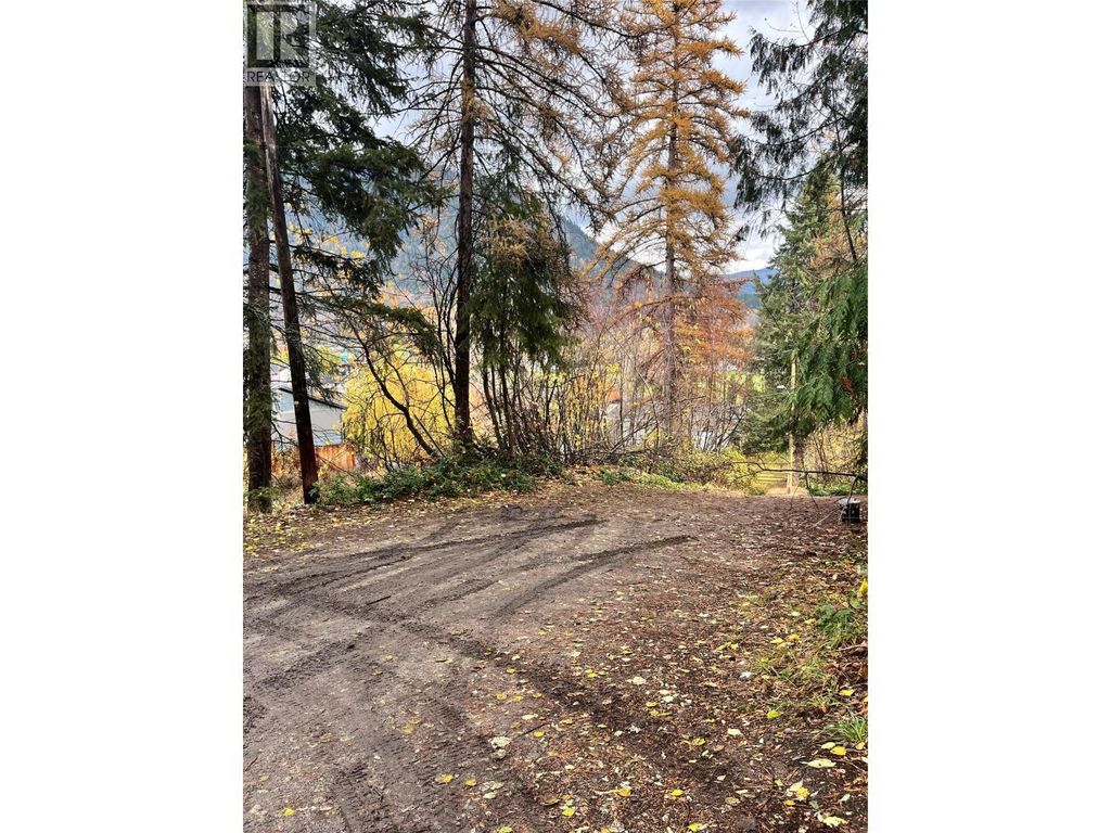9th Avenue, Castlegar