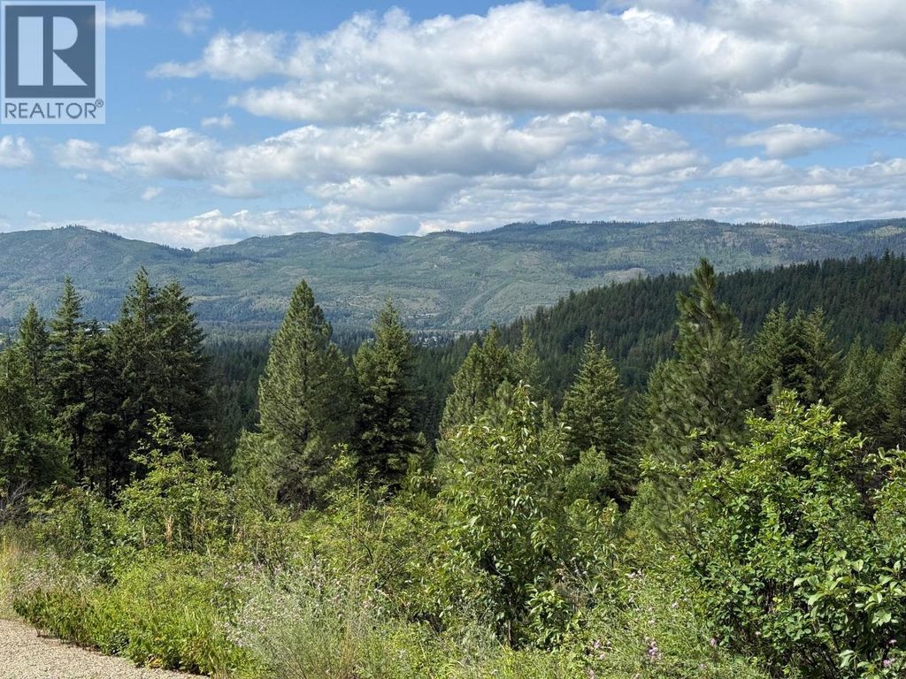 Lot 2 Gordon Creek Road, Barriere