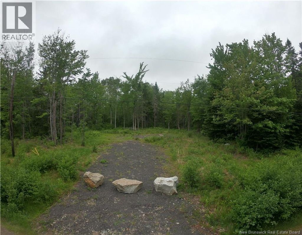 Lot 5 Wuhrs Beach Road, Flowers Cove
