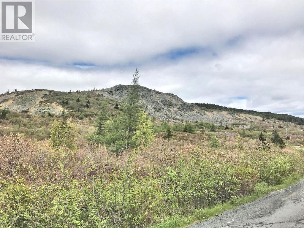 3-49 Northern Cove Pond Road, Spaniards Bay