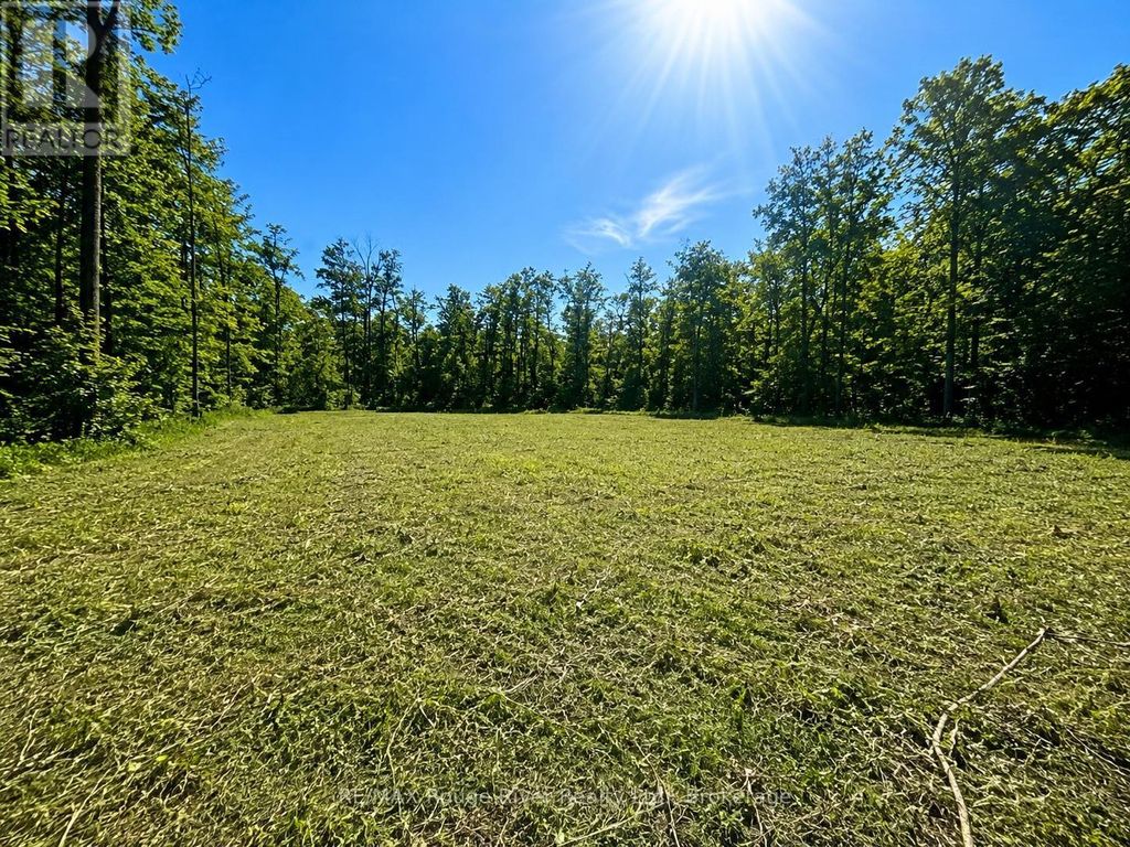 1293 David Fife Line, Otonabee-South Monaghan