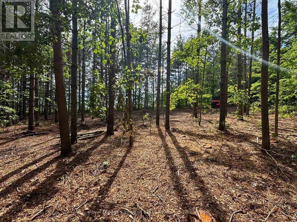 Pt Lt 11 Con 7 Ranchers Road, Kawartha Lakes (fenelon)