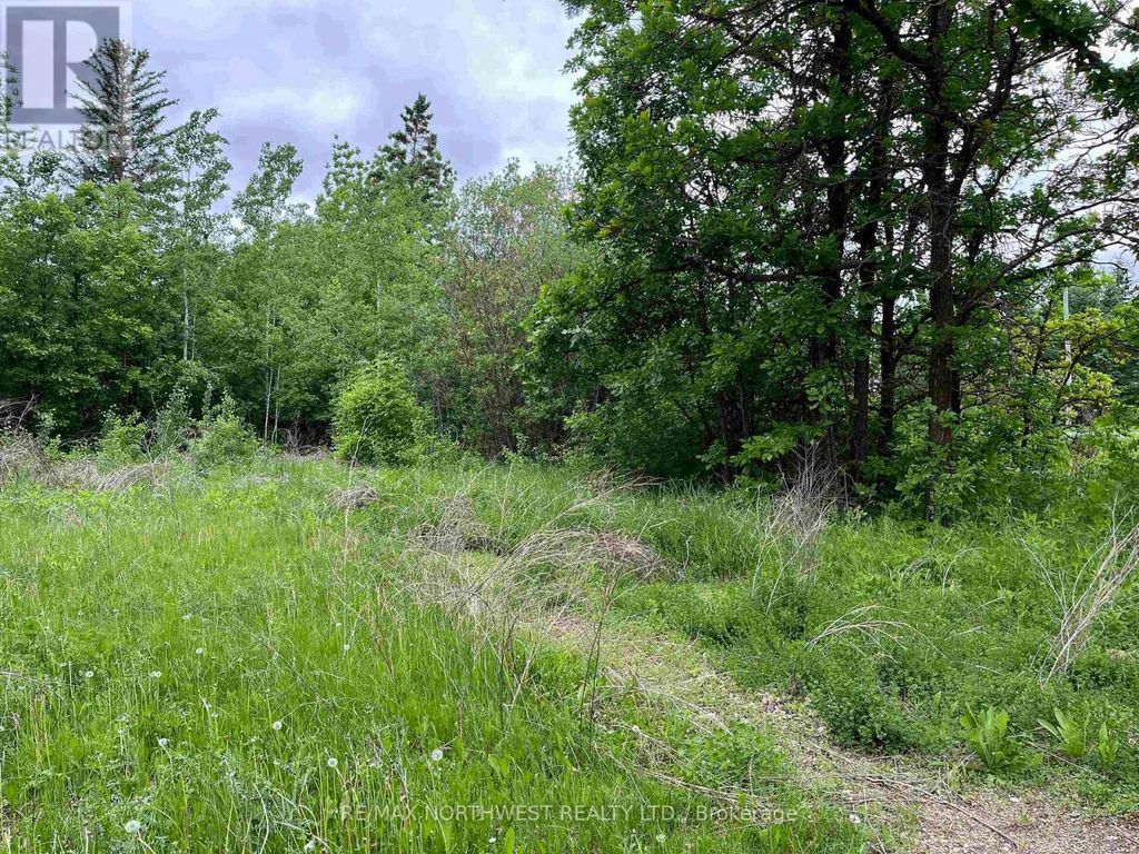 Pin 560490007 Hwy 11, Dawson (tb-405)