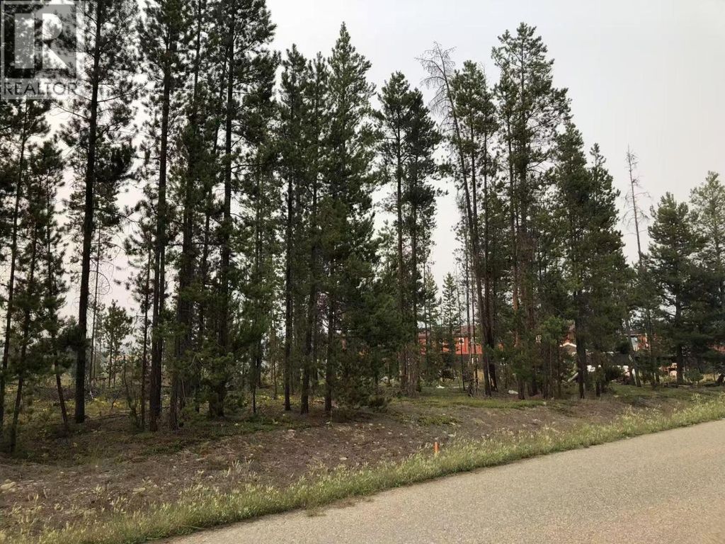 995 S Cranberry Lake Road, Valemount