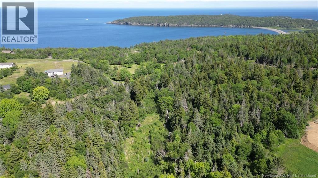 Whistle Road, Grand Manan