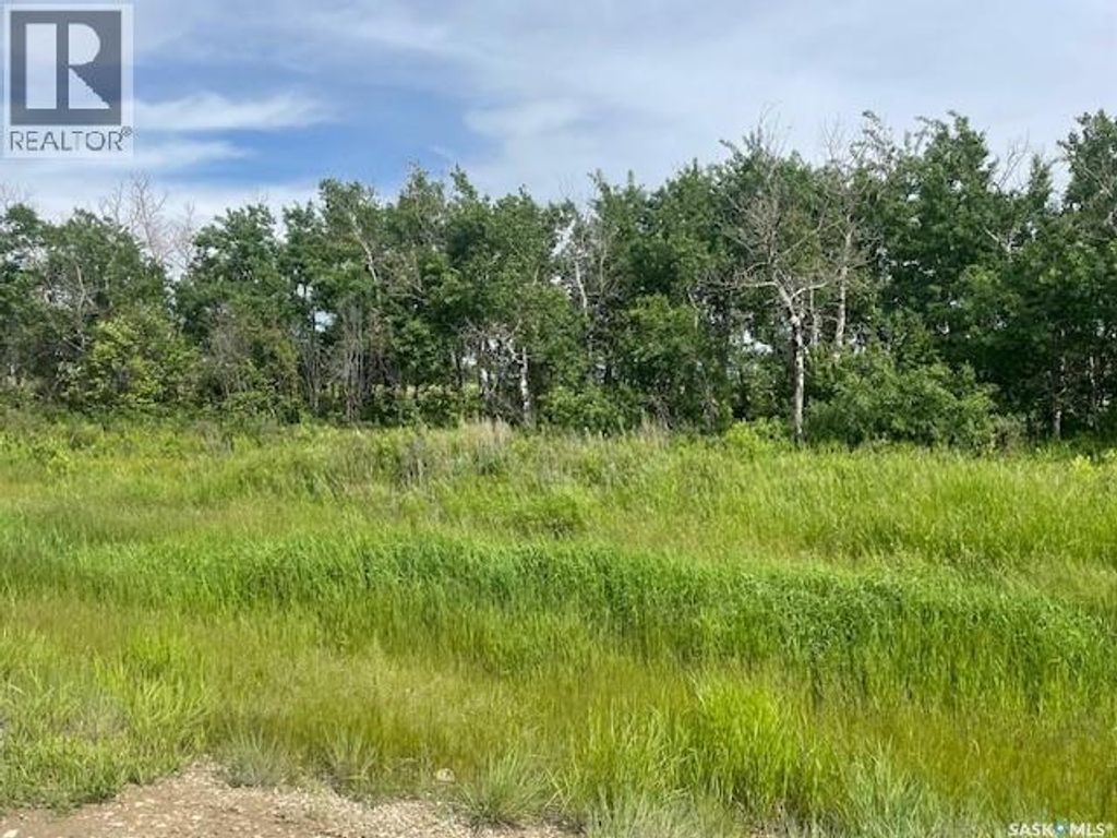 Lot 6 Viceroy Road, North Battleford Rm No. 437