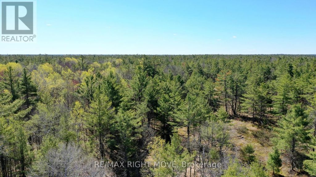 2503 Southwood Road, Gravenhurst (morrison)