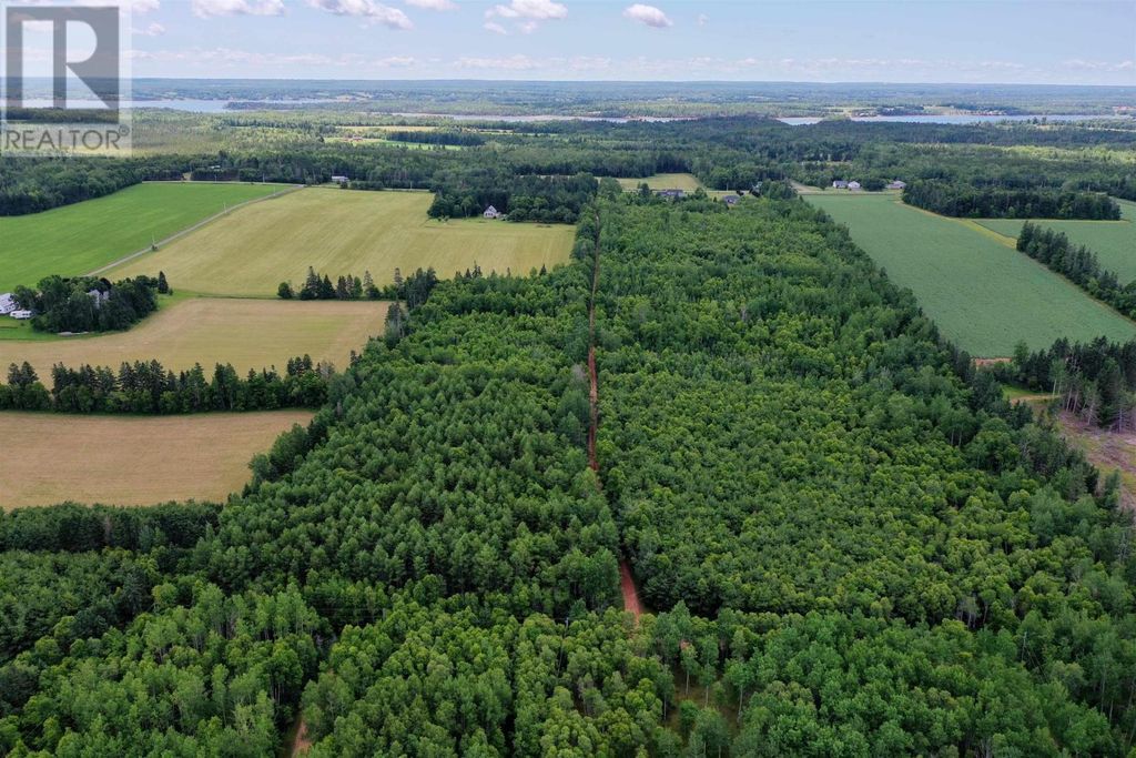 Lot 10 Birch Lane, Georgetown Royalty