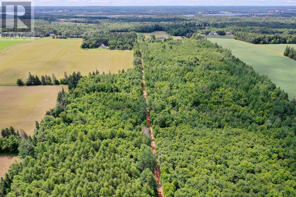 Lot 12 Birch Lane, Georgetown Royalty