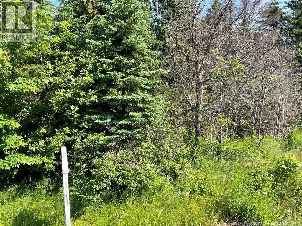 Lot 1 Communication Road, Irishtown