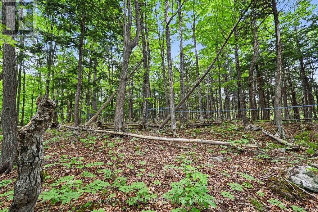 634 Concession 5a Dalhousie, Lanark Highlands