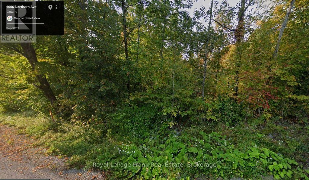 0 Northern Avenue, Trent Lakes