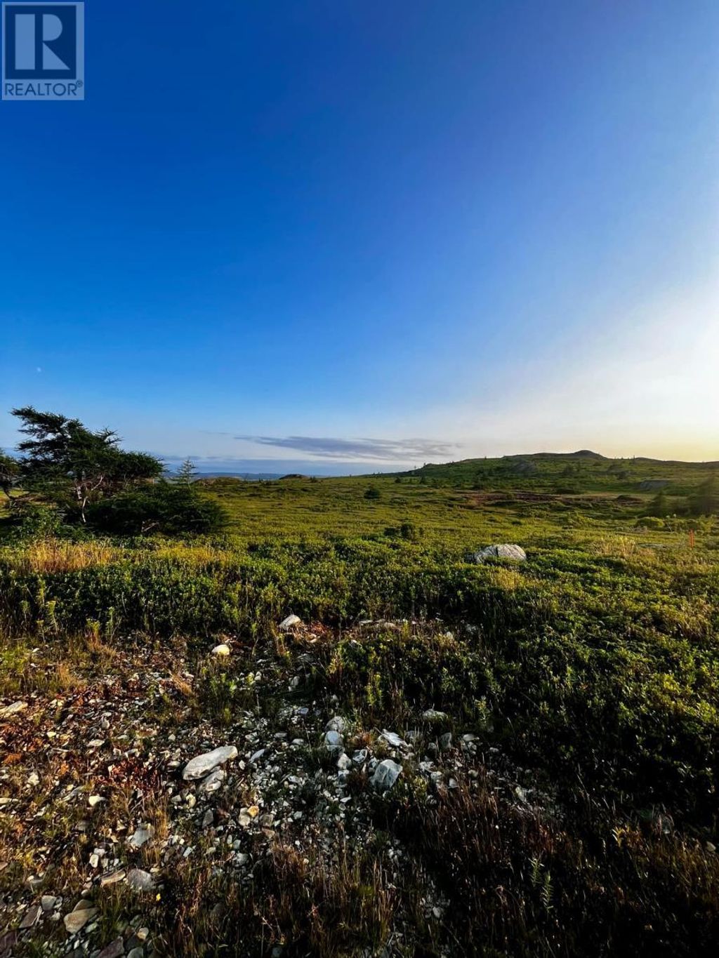 36 Reid Street, Upper Island Cove