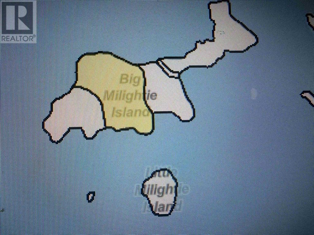 Big Millightie Island, Shelburne
