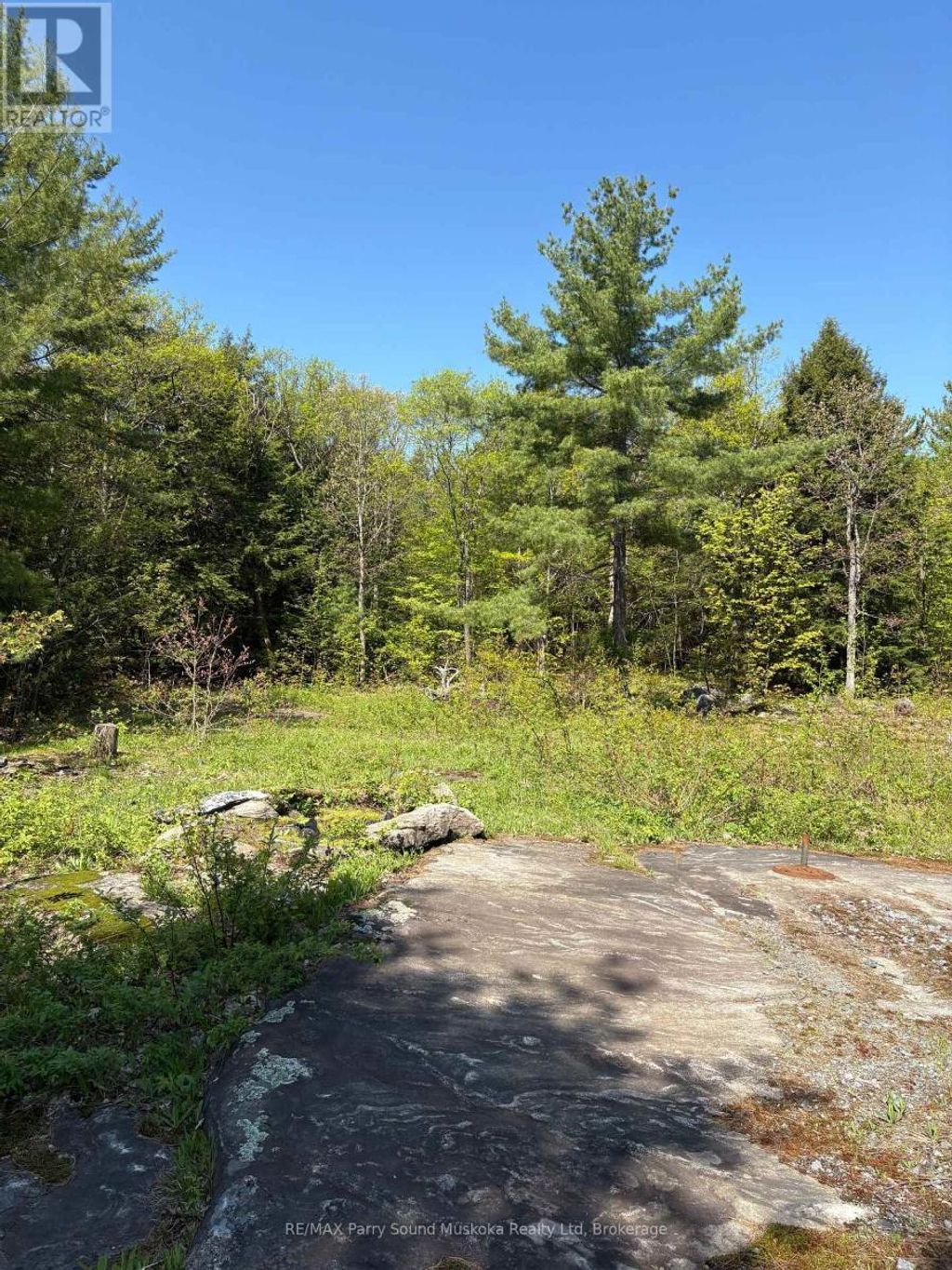 175 North Sandy Plains Road, Seguin