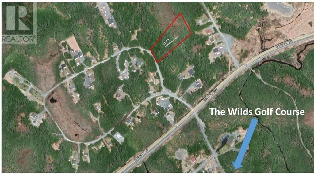 Lot 3 Fraser Sub-division, Forest Field Area /salmonier Line
