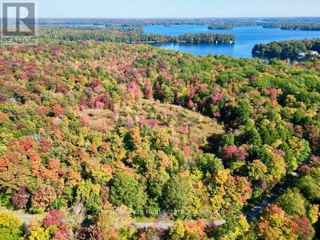 0 Acton Island Road, Muskoka Lakes (medora)